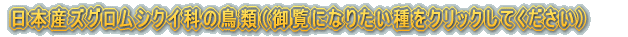 日本産ヒヨドリ科の鳥類（御覧になりたい種をクリックしてください）