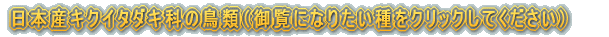 日本産ヒヨドリ科の鳥類（御覧になりたい種をクリックしてください）