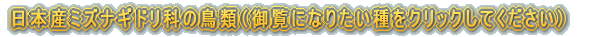 日本産ヒヨドリ科の鳥類（御覧になりたい種をクリックしてください）