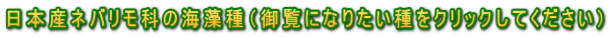 日本産ネバリモ科の海藻種（御覧になりたい種をクリックしてください）